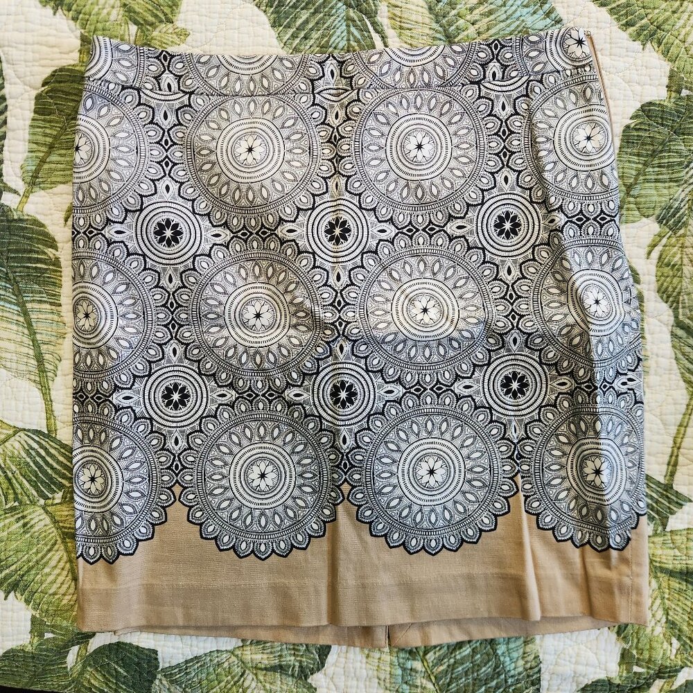 The Limited Pencil Skirt